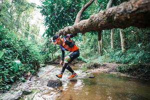 BIB: 
                            <button type="button" onclick="openModal(25368796)" class="btn btn-primary btn-sm float-right btn-popup" data-toggle="modal" data-target=".modal-high-quality">
                        <i class="fas fa-shopping-cart"></i> Add to Cart
                    </button>
                                            <button type="button" onclick="isThisMe(25368796, true)" class="btn btn-success btn-sm float-right btn-popup btn-isme hidden" data-toggle="tooltip" data-placement="bottom" title="นี่คือรูปของคุณใช่ไหม คลิกที่นี่เพื่อเอาเข้าอัลบั้ม">
                        <i class="fas fa-plus"></i> Add to album
                    </button>
                    <button type="button" onclick="isThisMe(25368796, false)" class="btn btn-warning btn-sm float-right btn-popup btn-isnotme hidden">
                        <i class="fas fa-ban"></i> Remove from album
                    </button>